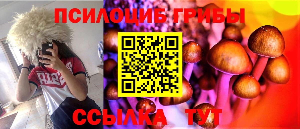 Псилоцибиновые грибы Psilocybine cubensis  Псилоцибиновые грибы Psilocybine cubensis  Вход с VPN  Светлоград 
