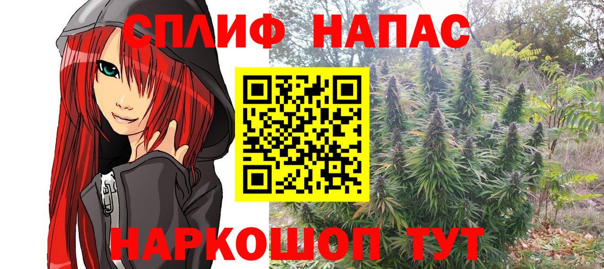 Марихуана OG Kush Светлоград